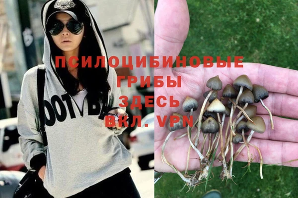 соль курить ск Алексеевка