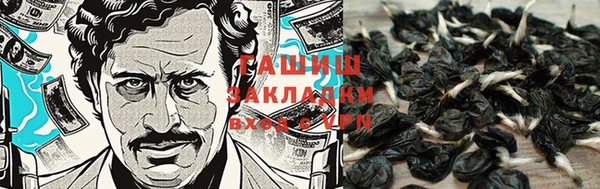 хмурый Алзамай