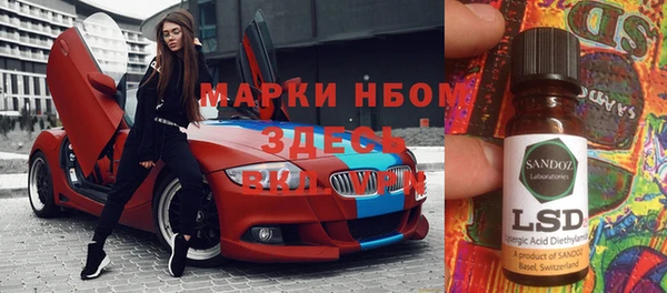 хмурый Алзамай