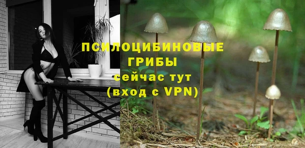 хмурый Алзамай