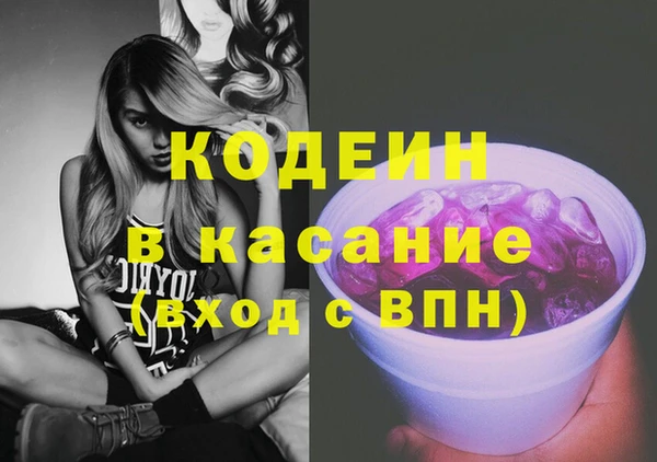 хмурый Алзамай