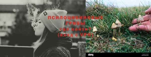 трава Арсеньев