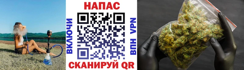 где можно купить   Лахденпохья  площадка как зайти  Шишки марихуана планчик 
